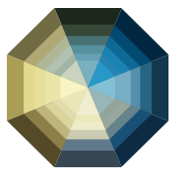 Octagon Medical Logo