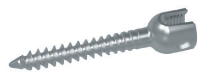 Tornillos Pediculares Monoaxiales Hankil Tech
