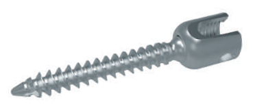 Tornillos Pediculares Poliaxiales Hankil Tech